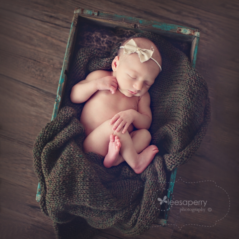 leesa perry photography