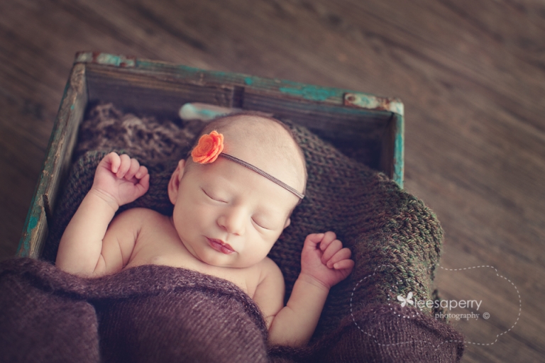 leesa perry photography