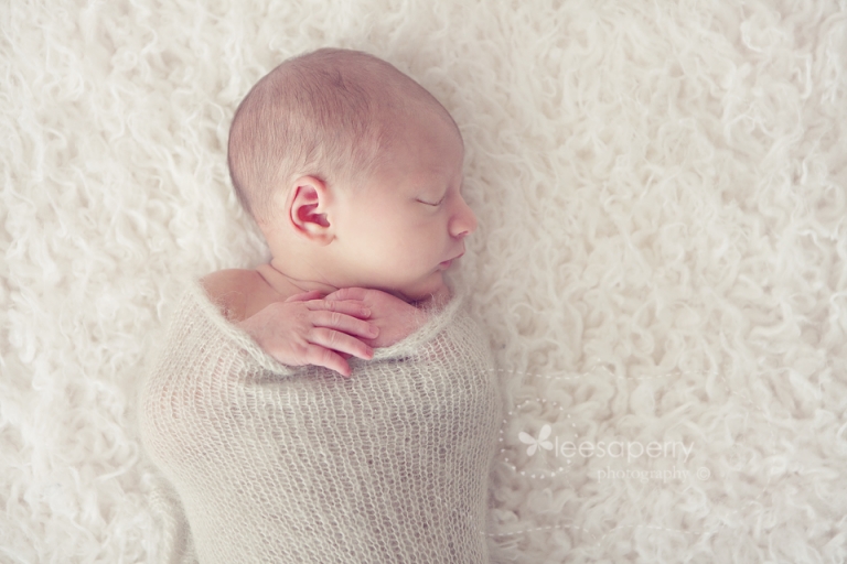 leesa perry photography