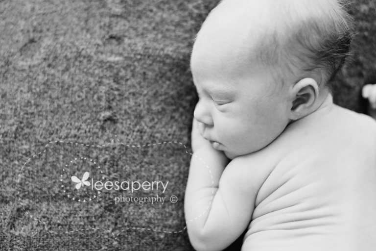 brisbane newborn photographer