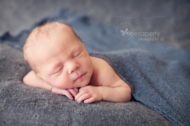 brisbane newborn photographer