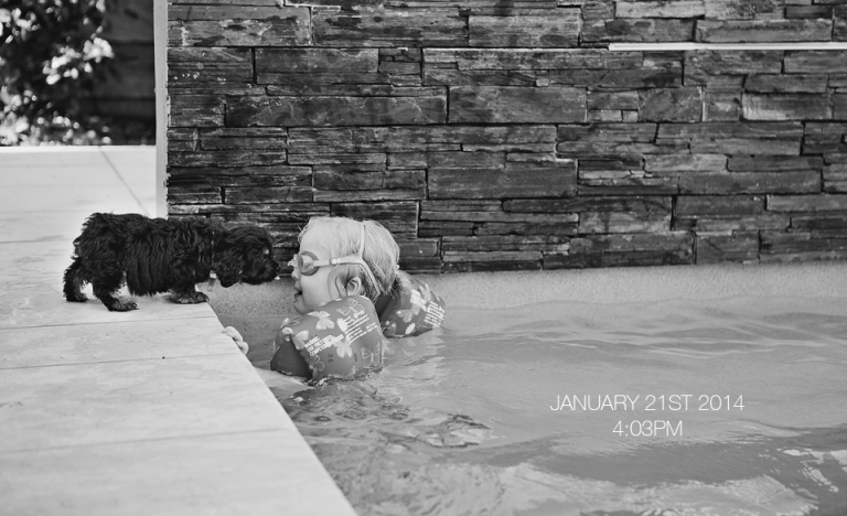 Puppy and girl in pool, brisbane  photographer