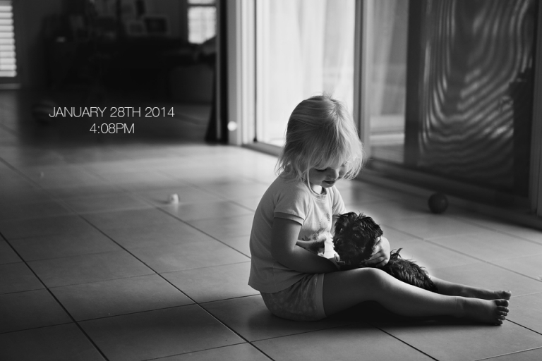 brisbane photographer, girl and puppy