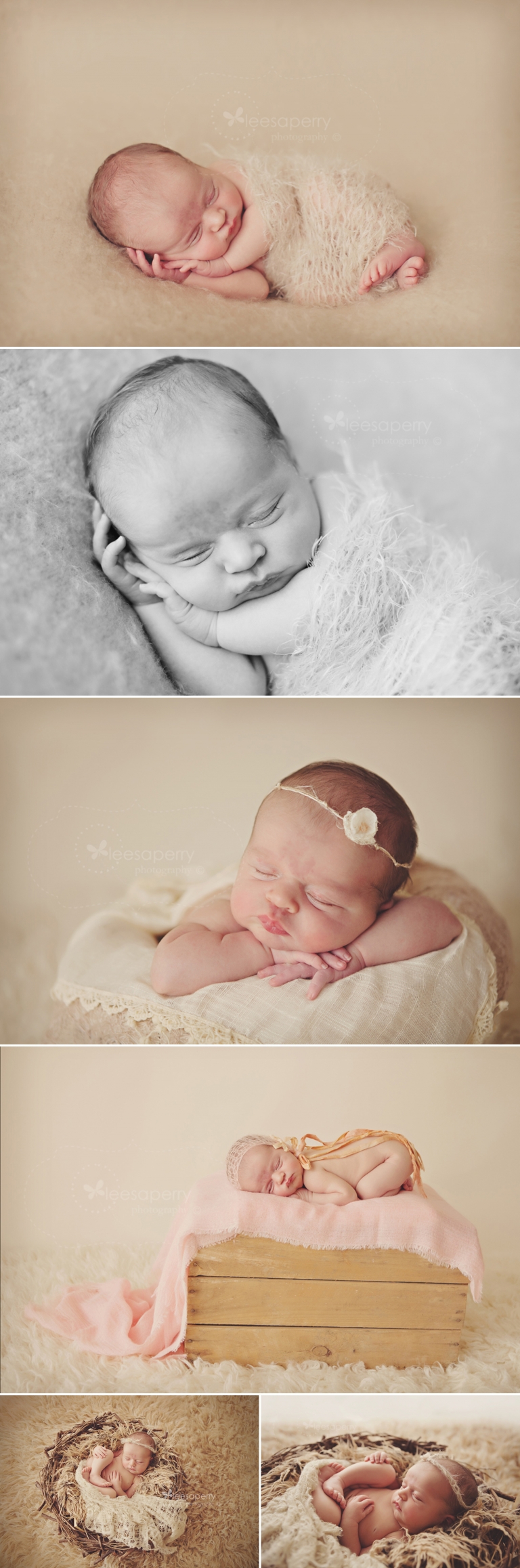 newborn photogrpahy, newborn photographer, brisbane, baby girl