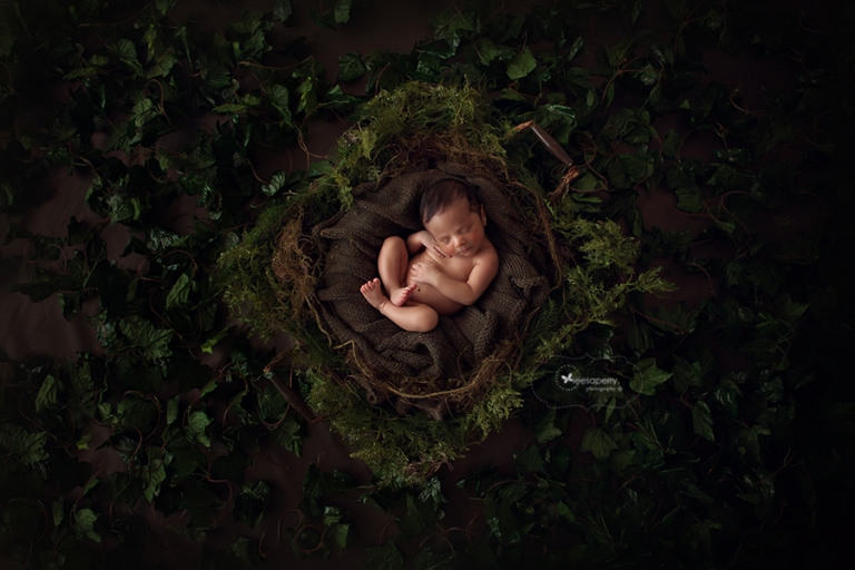 baby in green mossy nest