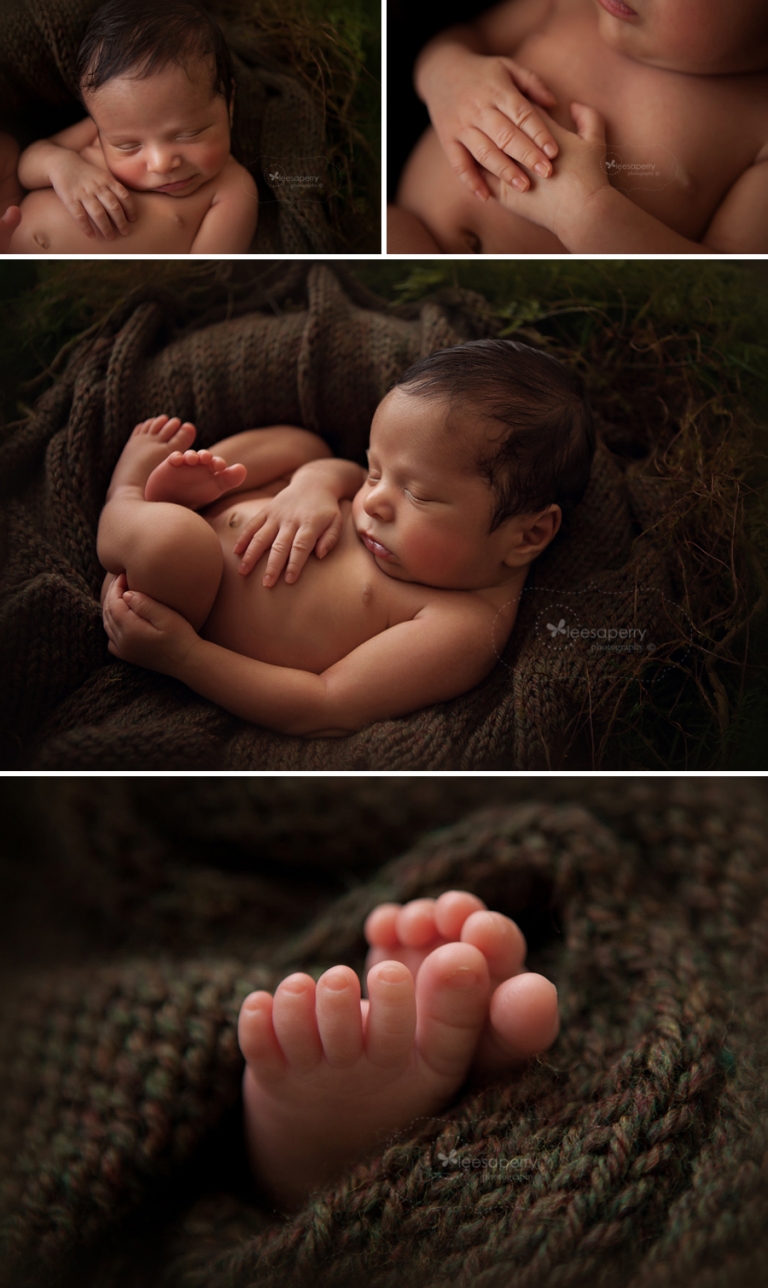 baby on green mossy nest